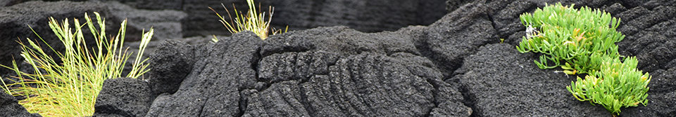 chroniques des Acores